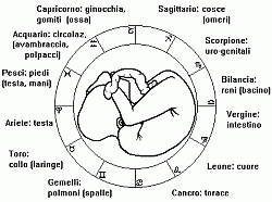 Clicca sull'immagine per ingrandirla

Nome:  cerchio zodiacale.gif
Visite: 4674
Dimensione:  5.2 KB