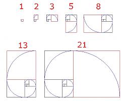Clicca sull'immagine per ingrandirla

Nome:  fibonacci+spirale.jpg
Visite: 856
Dimensione:  90.3 KB
