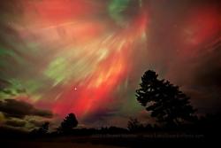 Clicca sull'immagine per ingrandirla

Nome:  Aurora-300x200.jpg
Visite: 1230
Dimensione:  11.4 KB