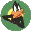 Looney Toons   Daffy